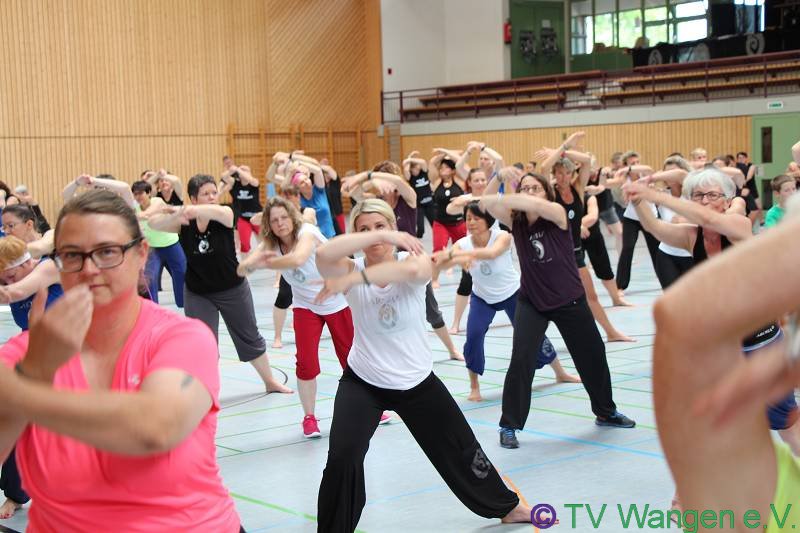 IMG_3133_(800_x_600)